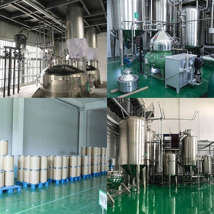Senna Leaf Extract factory
